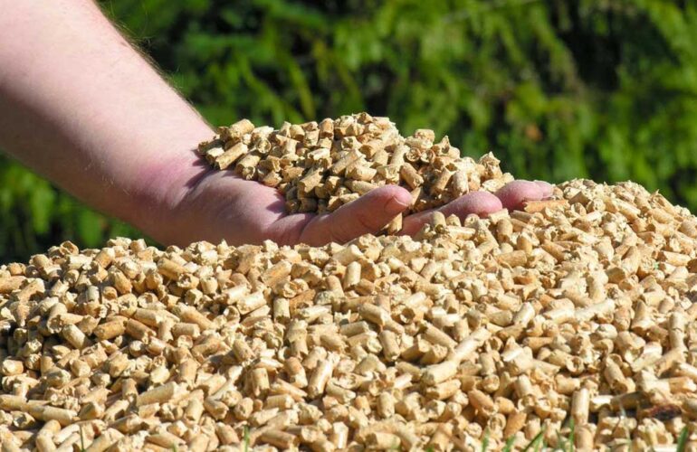 El ahorro, la principal razón para pasarse a la biomasa - Moneleg