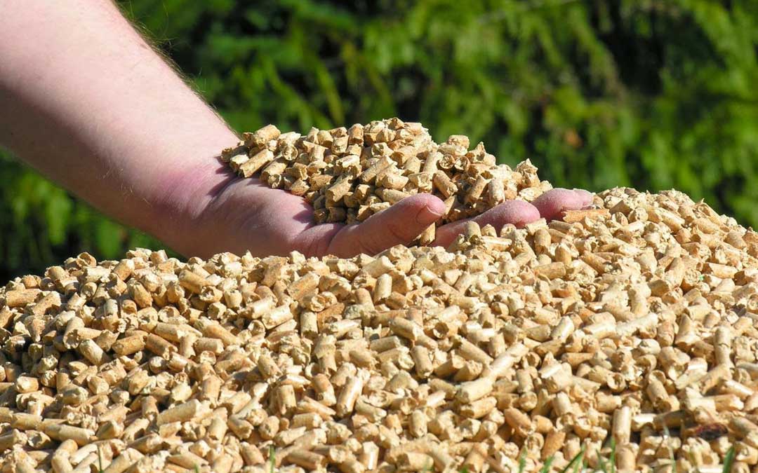 El ahorro, la principal razón para pasarse a la biomasa - Moneleg