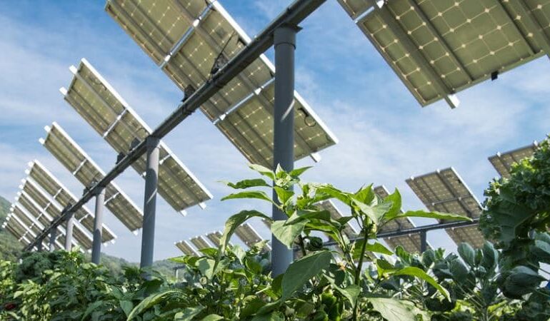 El sector agrícola ve rentable el autoconsumo