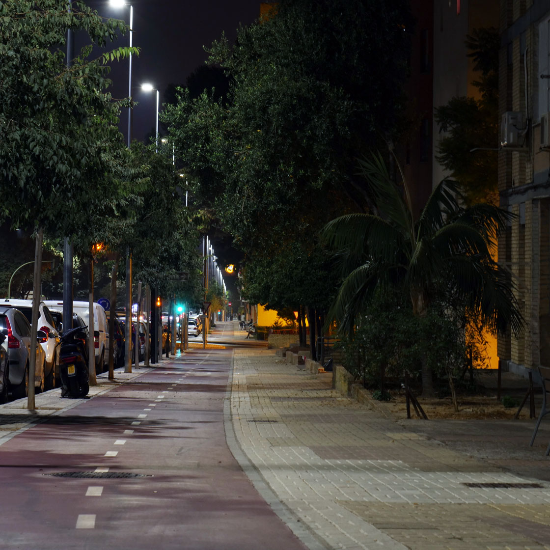 INSTALACIÓN DE ALUMBRADO VIAL EN AVENIDA LEÓN DE CARRANZA, JEREZ DE LA FRONTERA